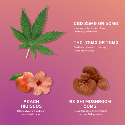 CBD gummies for stress with full-spectrum CBD and reishi mushroom for relaxation and de-stressing