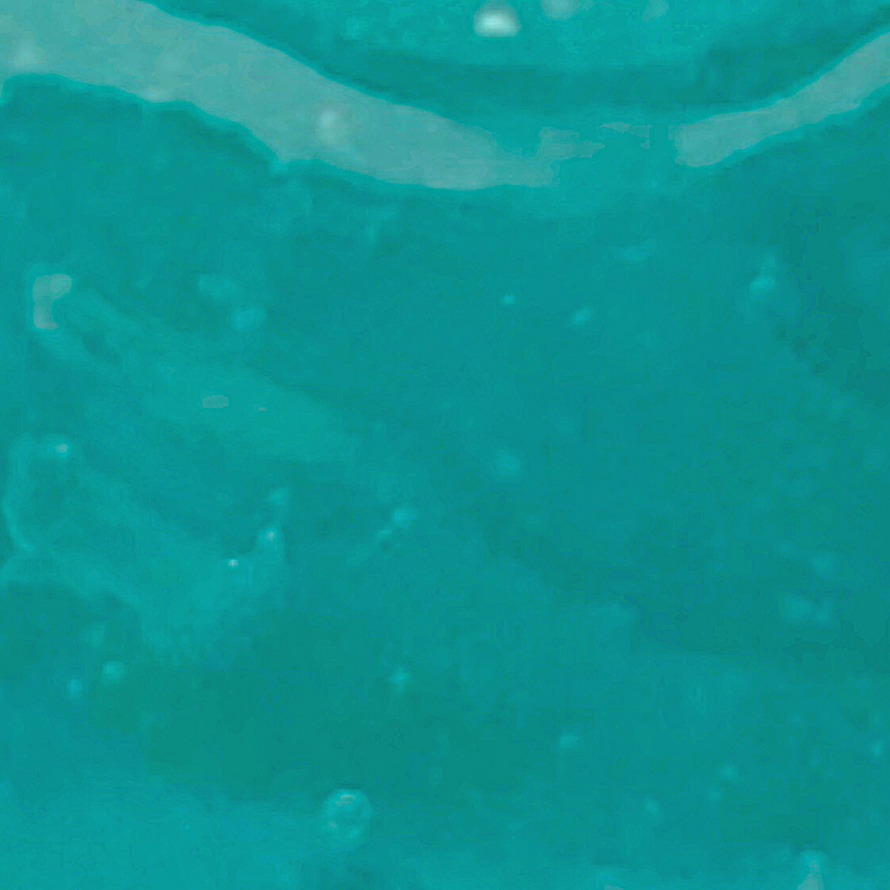 Blue Ocean Jelly Mask jar with hydrating and skin-revitalizing ingredients