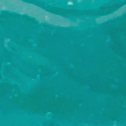 Blue Ocean Jelly Mask jar with hydrating and skin-revitalizing ingredients